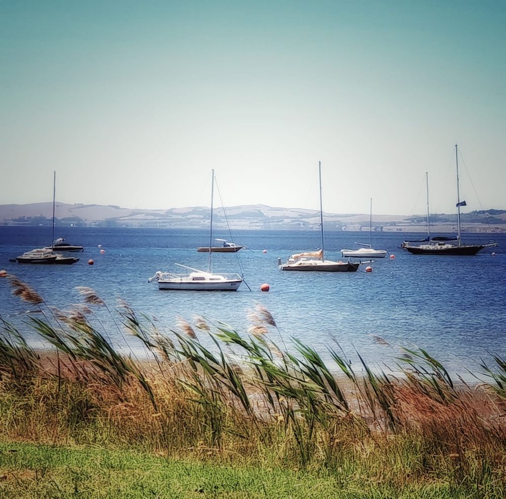 Why we should care  - Westernport Ramsar Site. post image