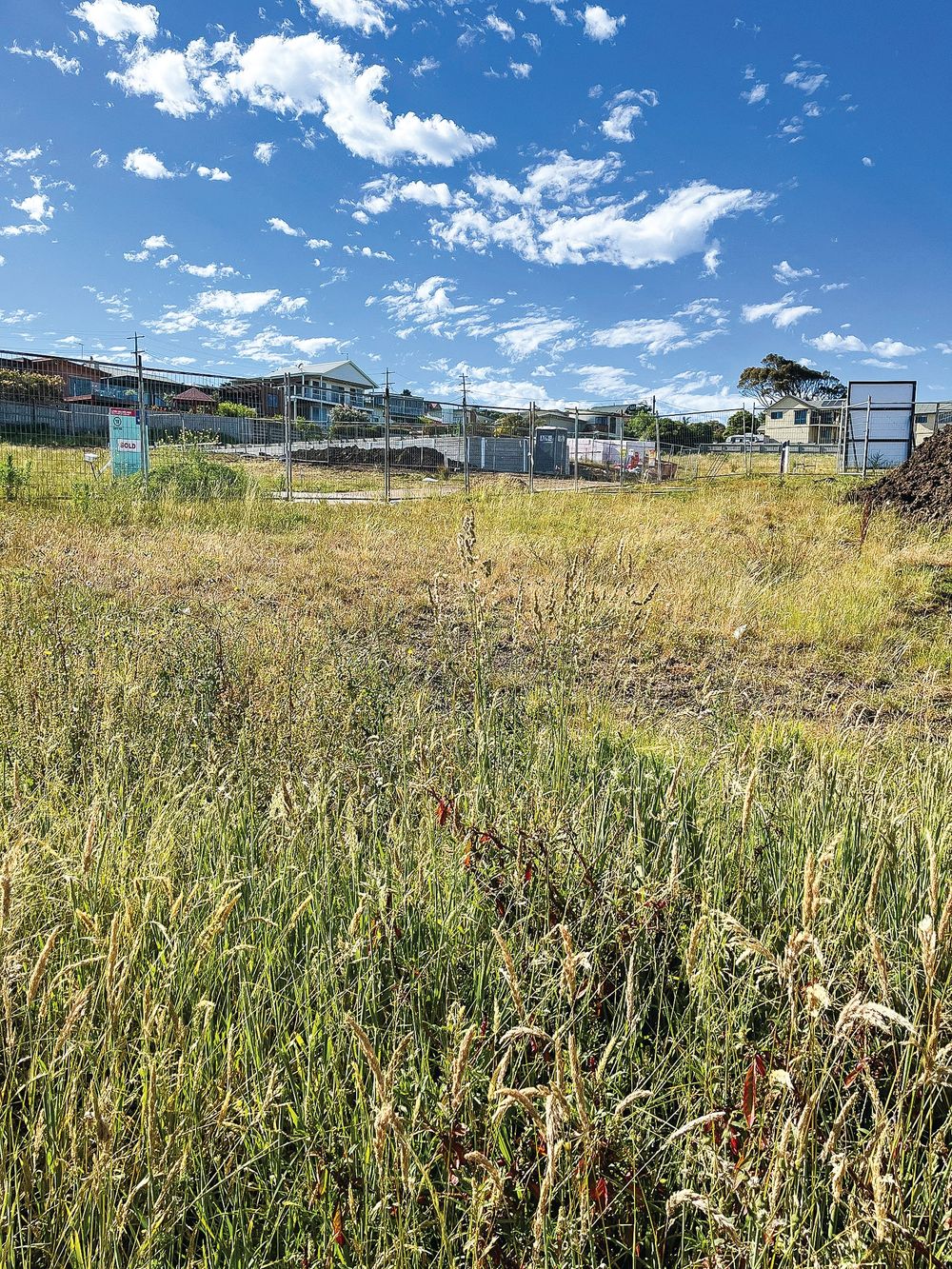 Panorama pain – residents call for clean up post image