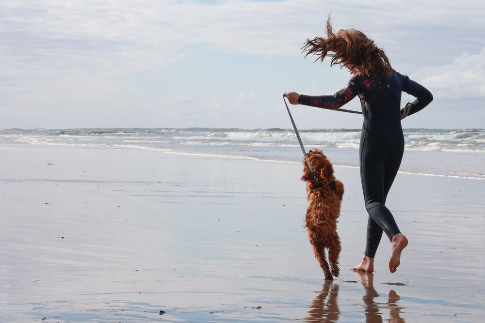 Where can I walk my dog on Phillip Island? post image