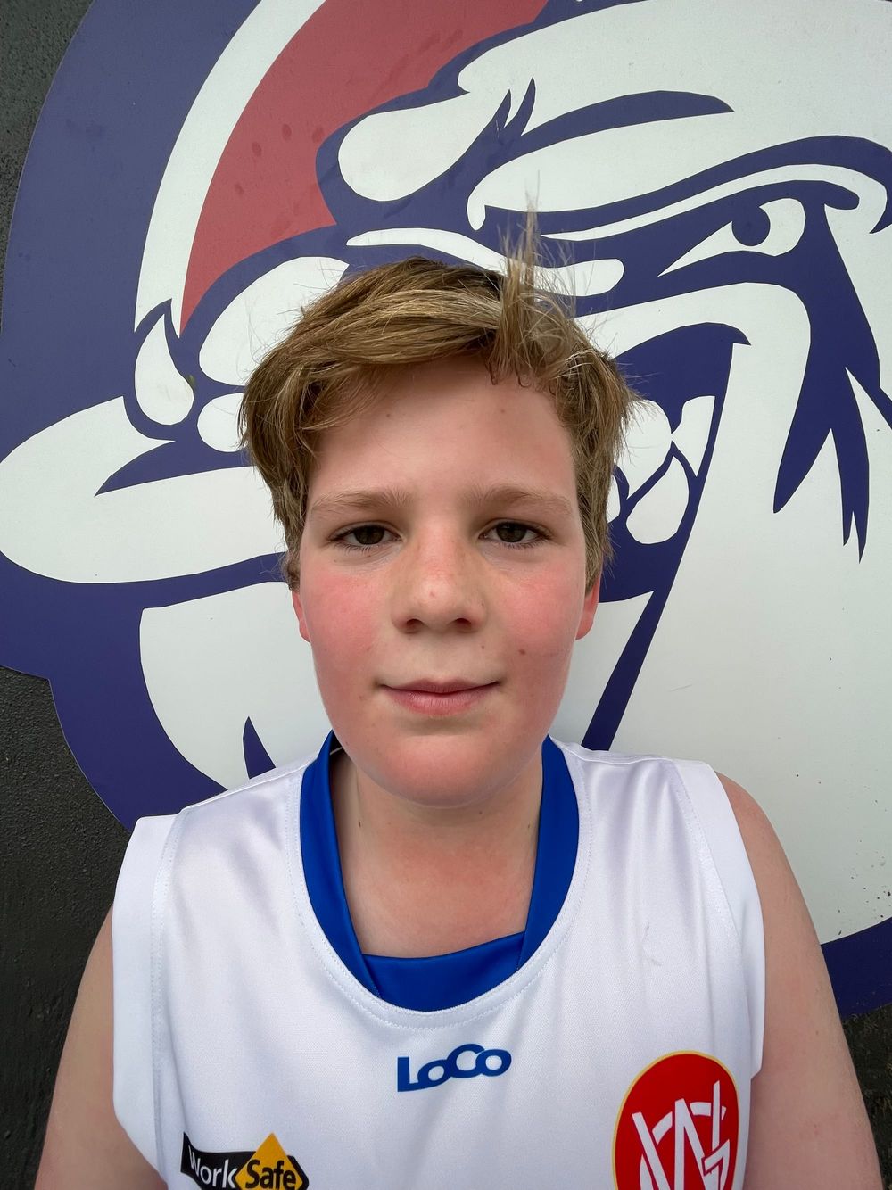 Good luck to U12 Blue Junior footy stars grand final! post image