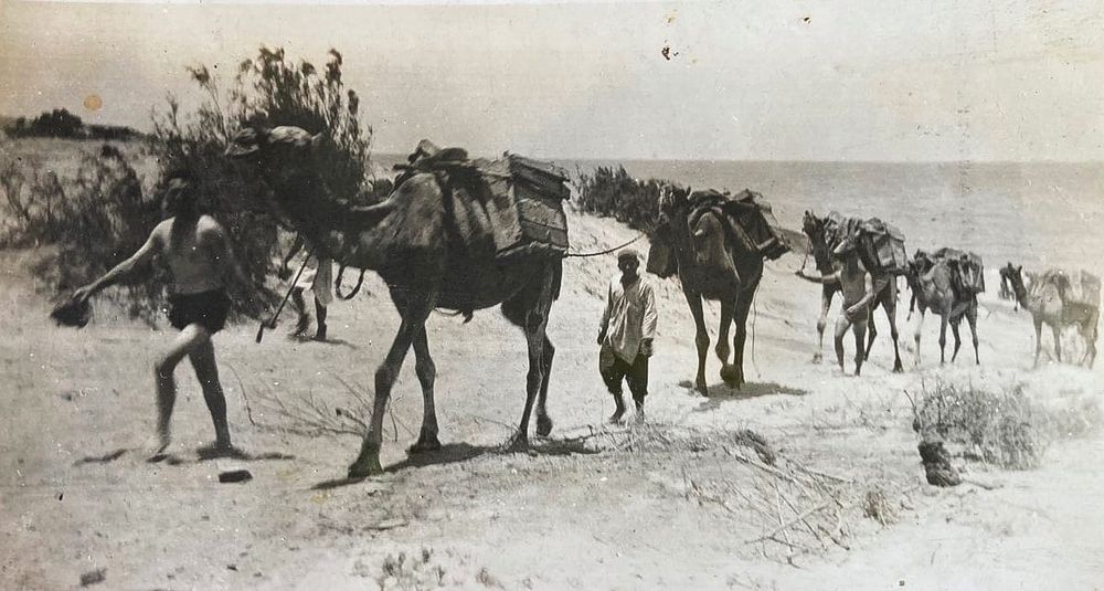 Historical Society’s Second World War project post image