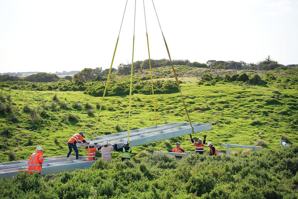 Better view at Penguin Parade post image