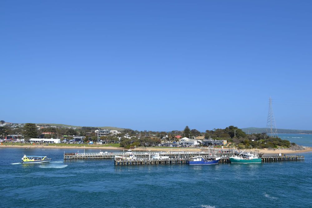 Sanny, Wooli, Newhaven form new group post image