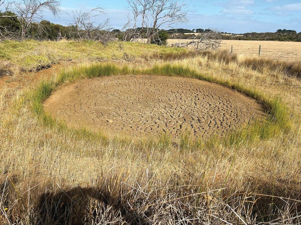 Hot and dry, but chance of water restrictions still low post image
