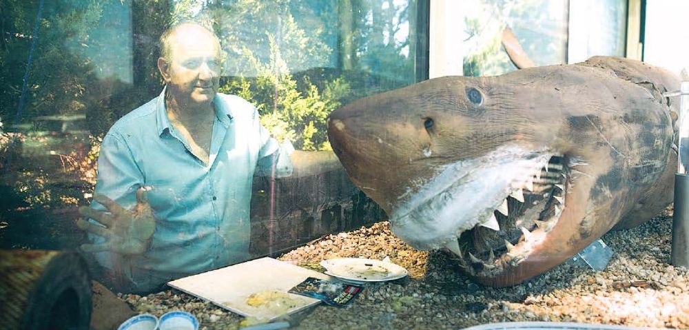 A year later, how is Rosie the Shark? post image