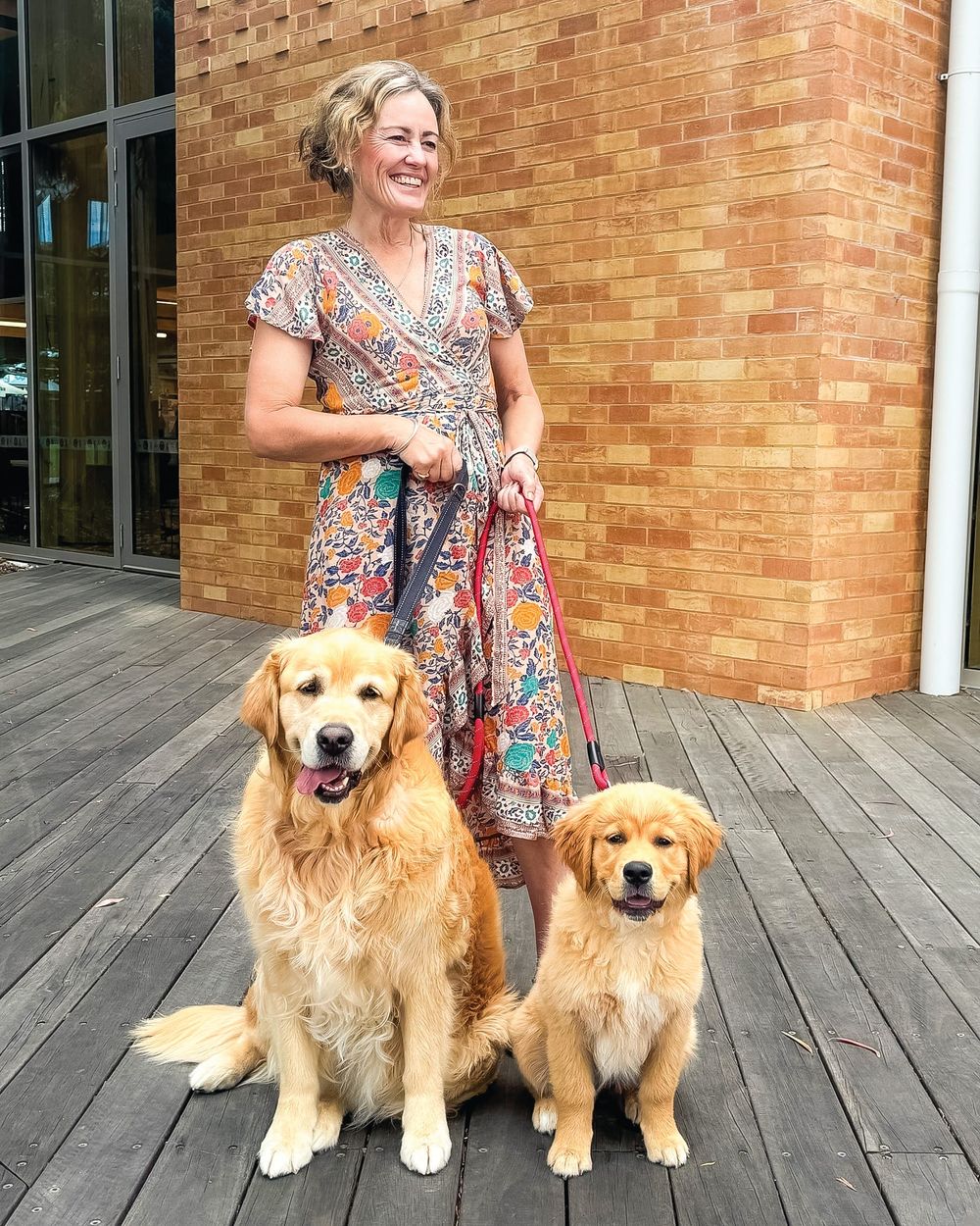It's time to talk domestic animal management plan post image