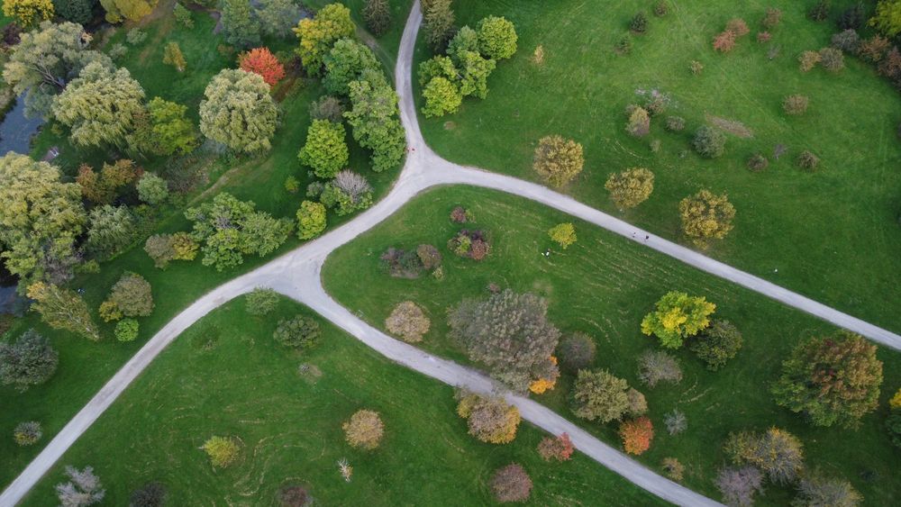 Help shape our urban forest post image
