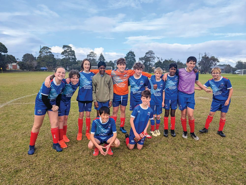 Soccer post image
