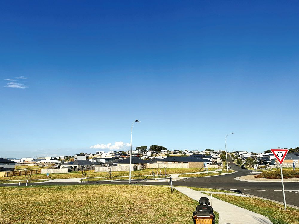 New developments will be required to keep trees and plant more post image