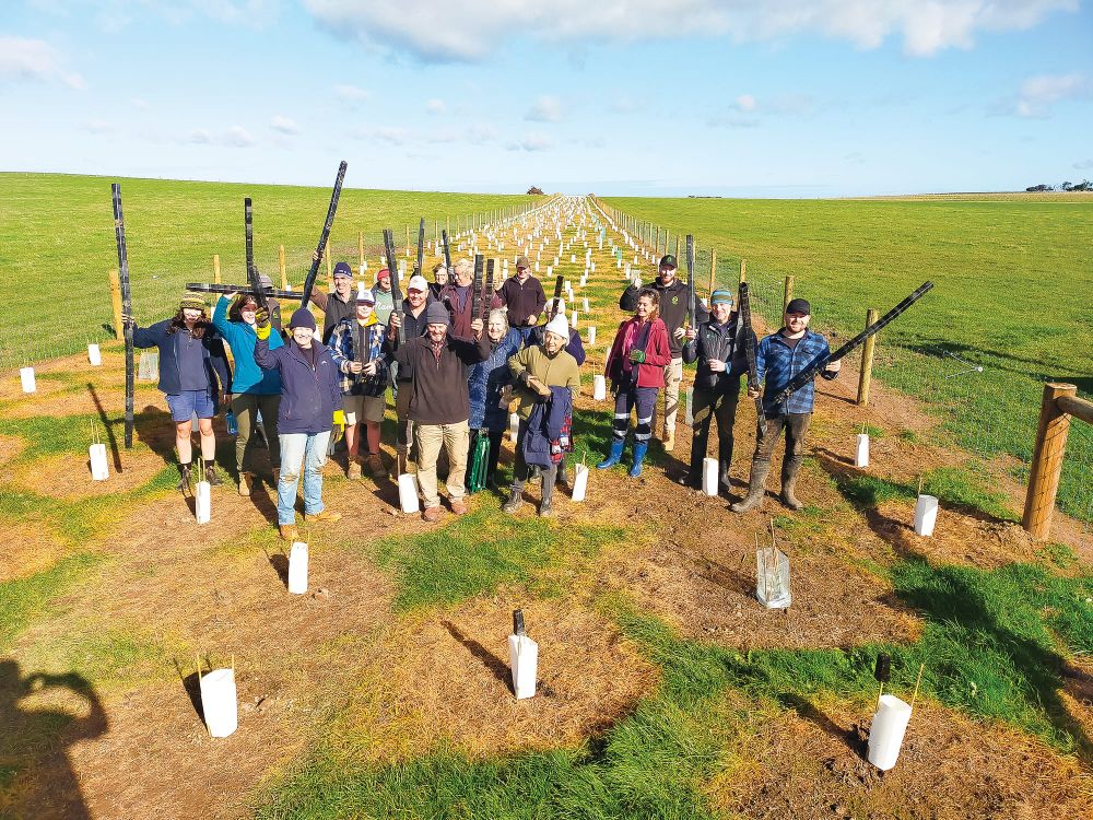 Phillip Island Landcare offers plenty post image