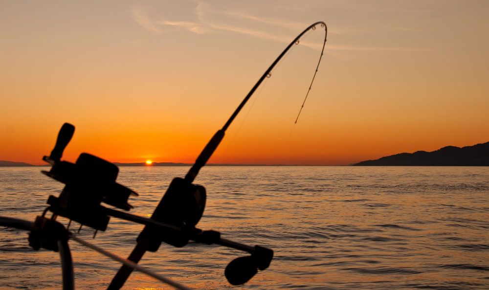 Around the bay with Jim’s Bait and Tackle post image