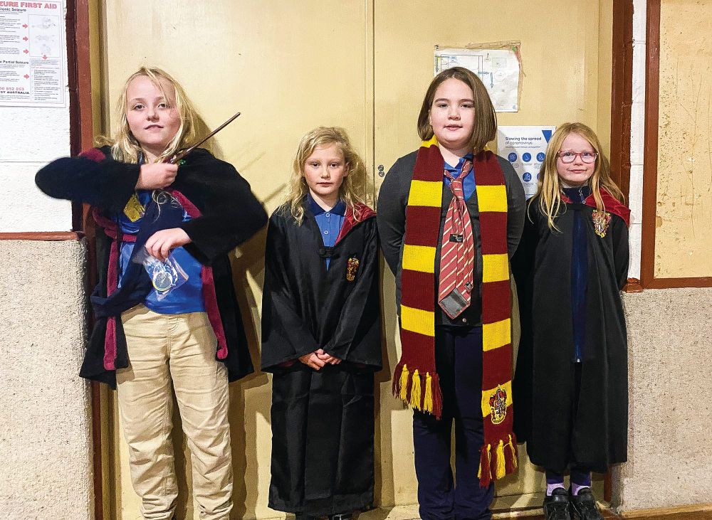 Awards for local Girl Guides post image