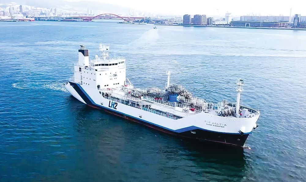 Marine pests would ‘decimate’ Western Port post image