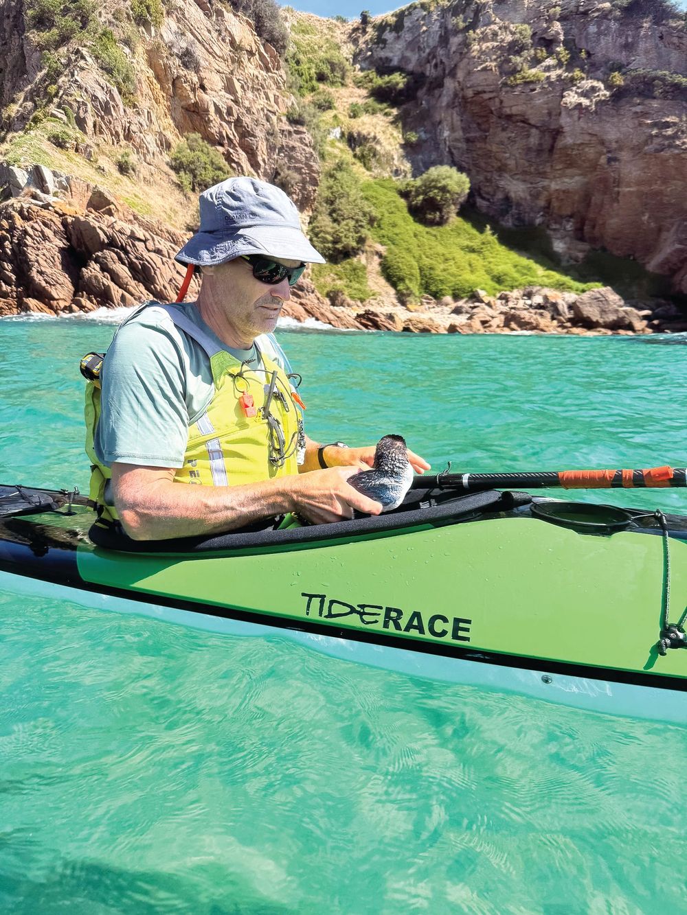 Kayaking trip becomes a rescue mission post image