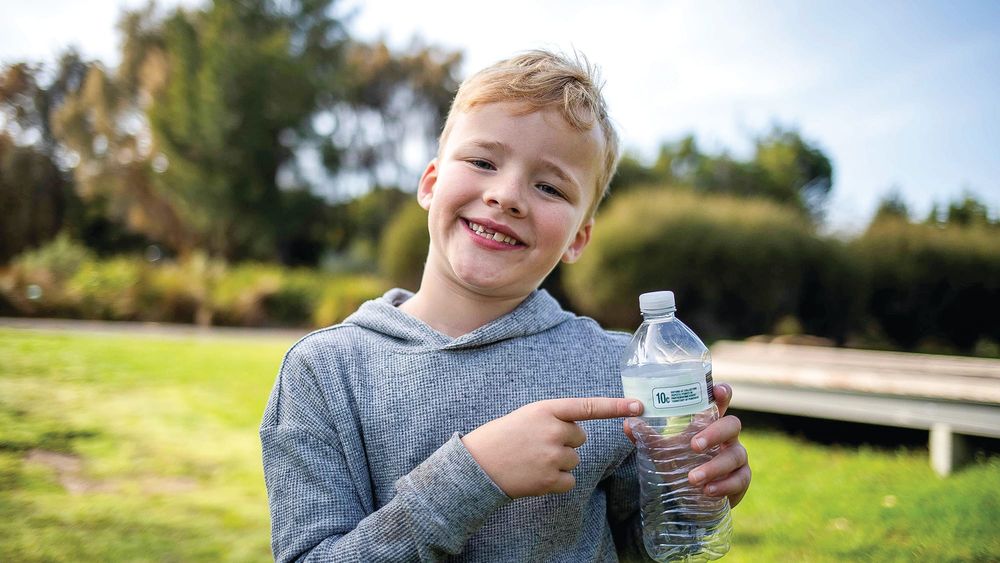 Container deposit scheme returns a billion containers in first year post image