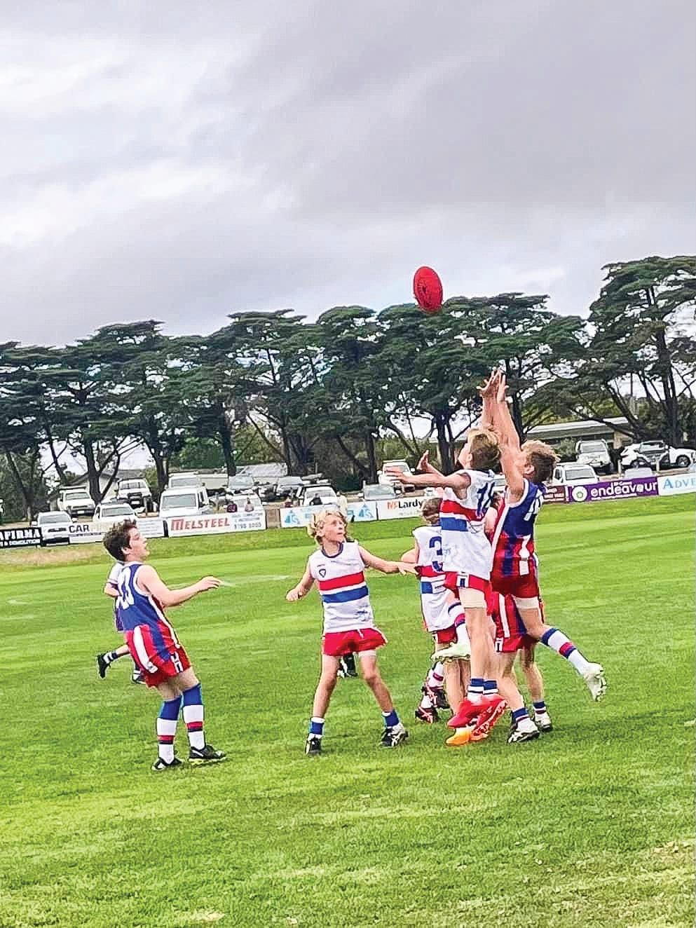 Under 10 Blue match report post image
