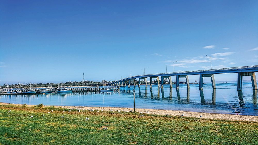 DAL hearings: Bridge, Phillip Island Road widening would damage tourism, environment post image
