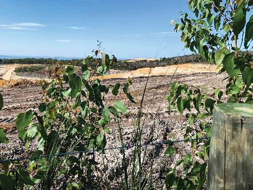 Mining V ecotourism: battle lines drawn post image