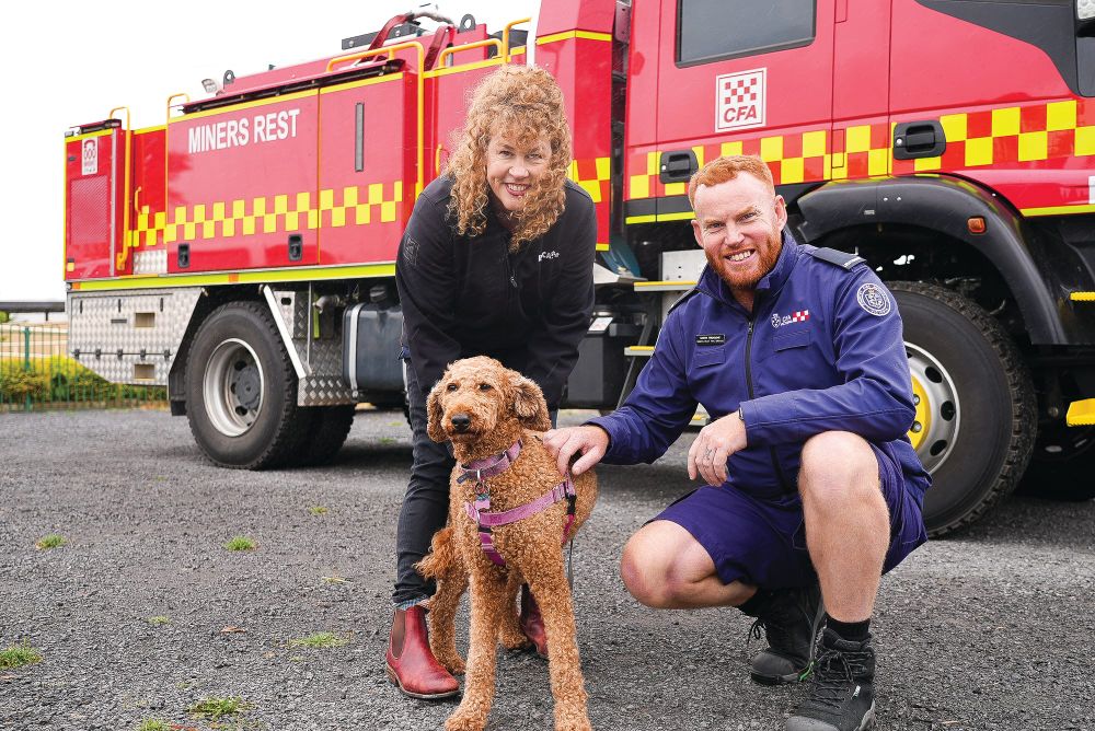 Don’t forget your pets this summer post image