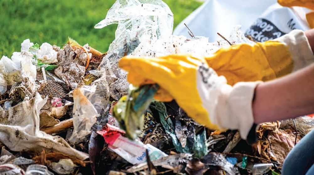 Clean-up crew tackles huge load of rubbish post image