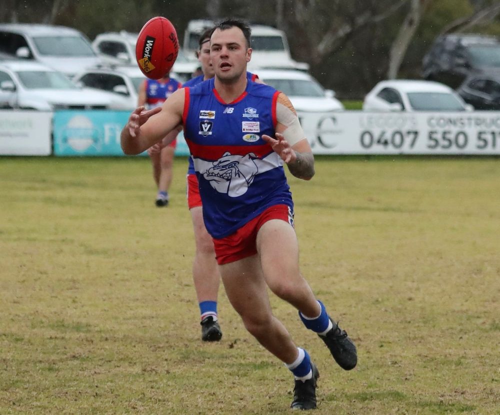 Another strong win for Reserves post image