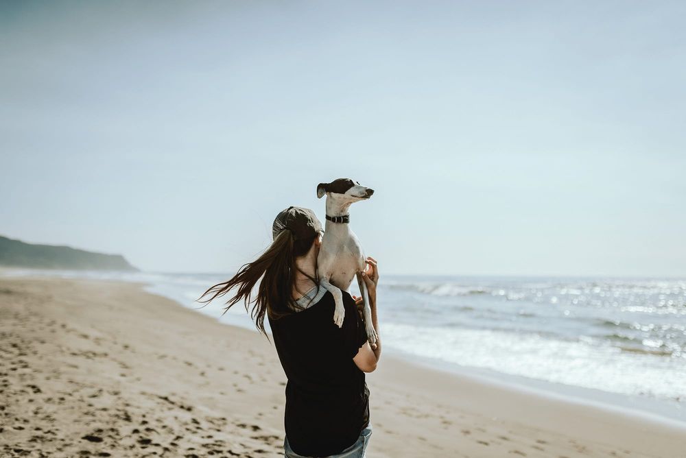 Off-leash dog rules “clarified” post image