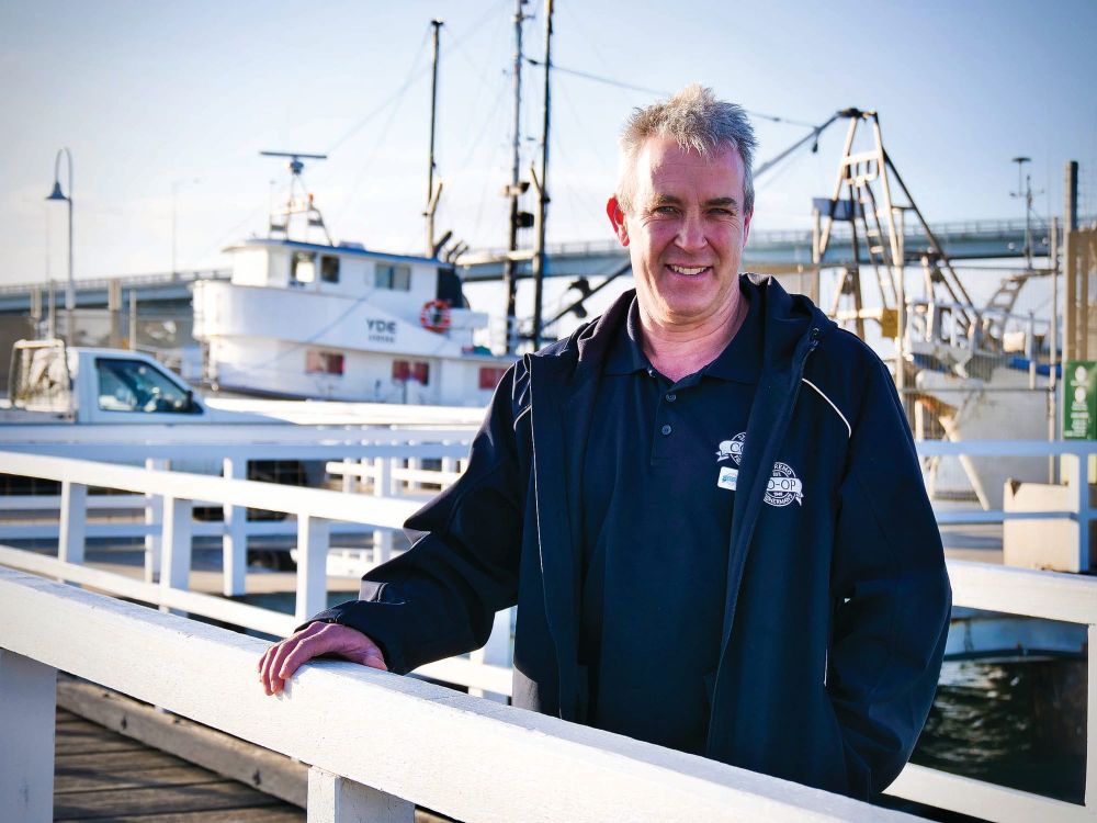 Summer surge marks post-Covid comeback post image