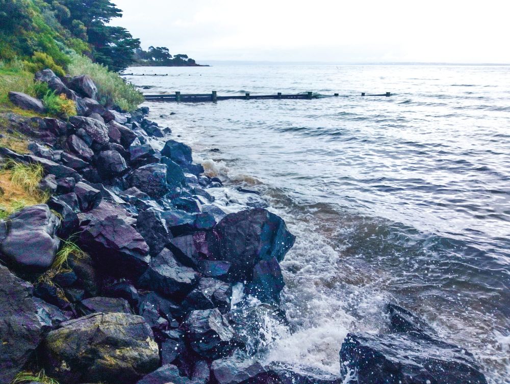 Climate response must be community-wide post image