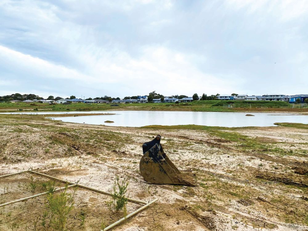 Will there ever be a wetland? post image
