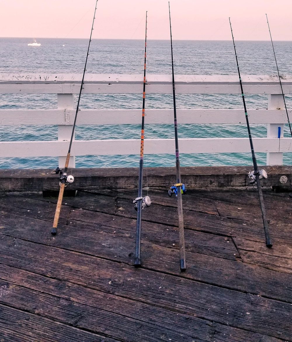 Around the bay with Jim’s Bait and Tackle post image