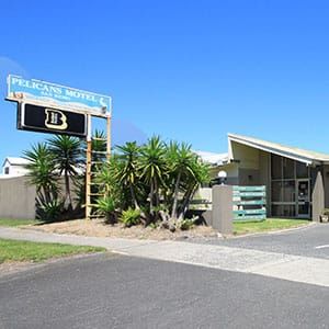 Pelicans Motel San Remo post image