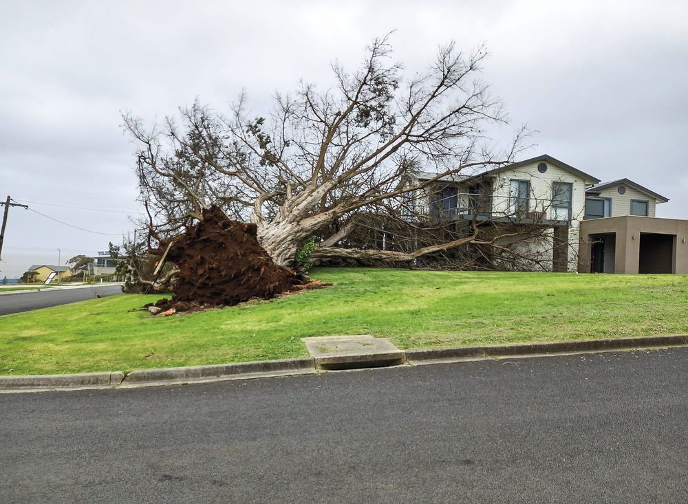 SES inundated during last week's storm post image