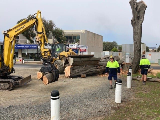 Trees come down in San Remo post image