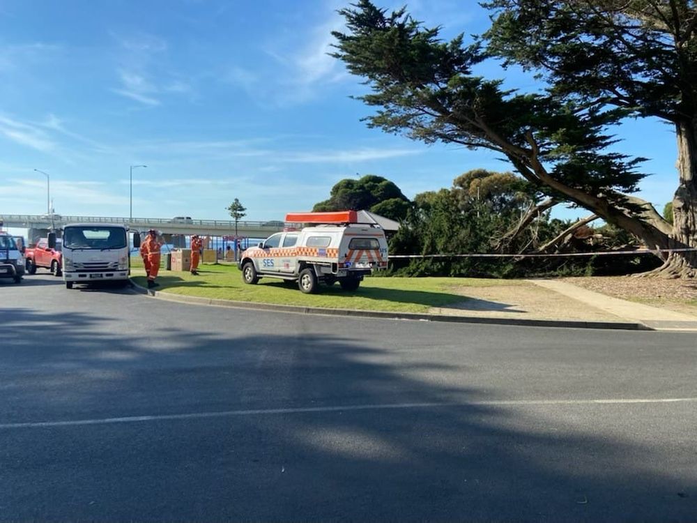 Close call at San Remo post image