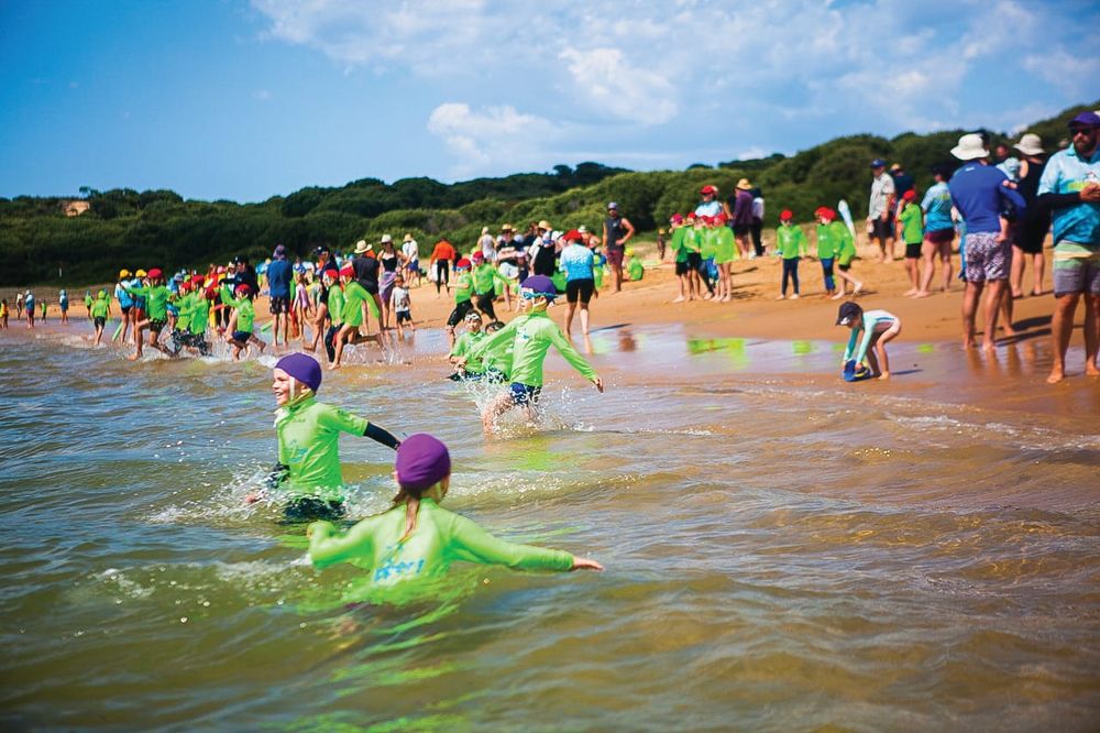 Nippers never ‘board’ over summer holidays post image