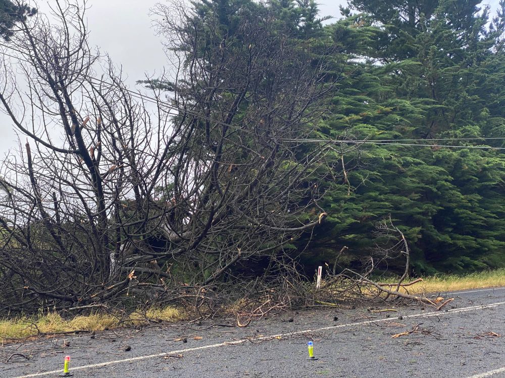 Wild winds cut power post image