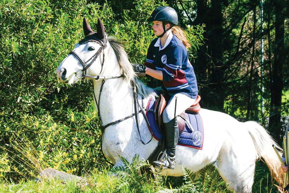 Equestrian team winter training day post image
