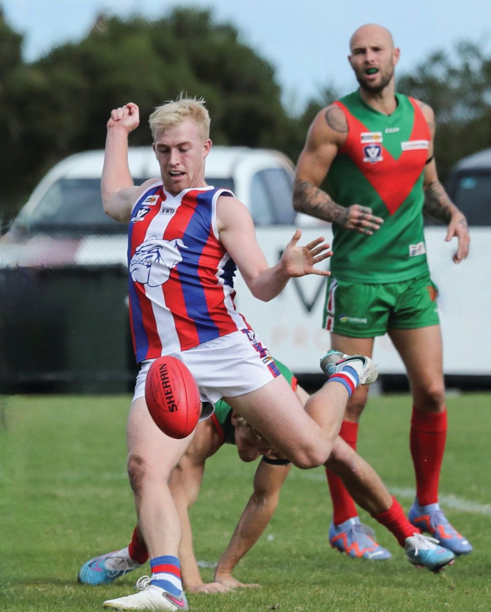 Bulldogs bite back in Grand Final replay - Seniors post image