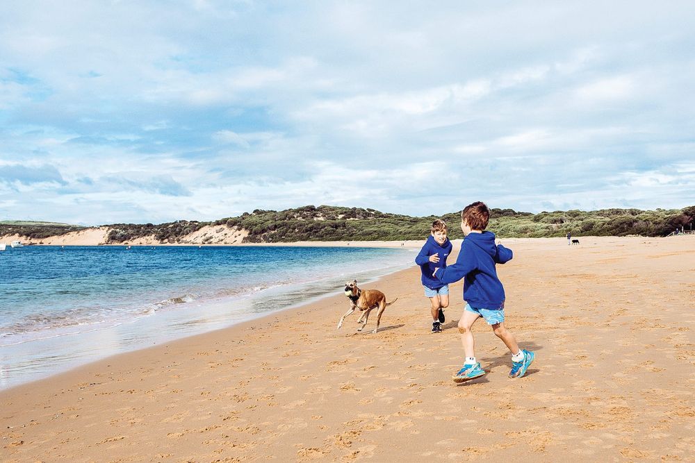 Shake off stress at the off-leash beach post image