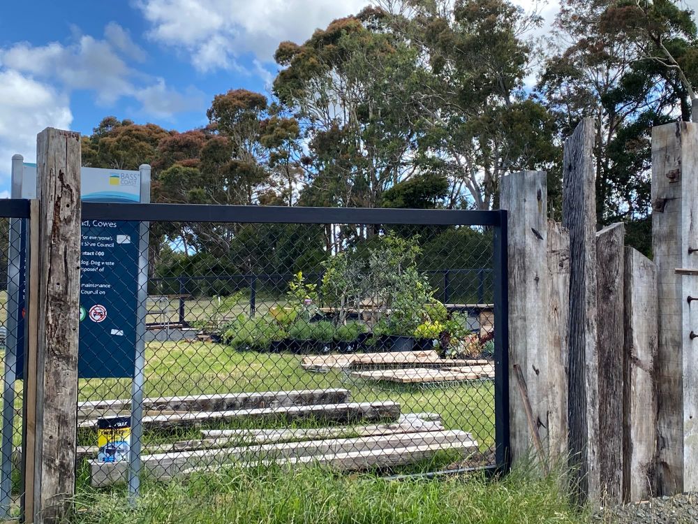 Community Garden grows post image