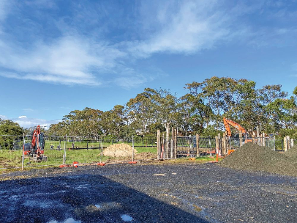 Community garden gets going post image