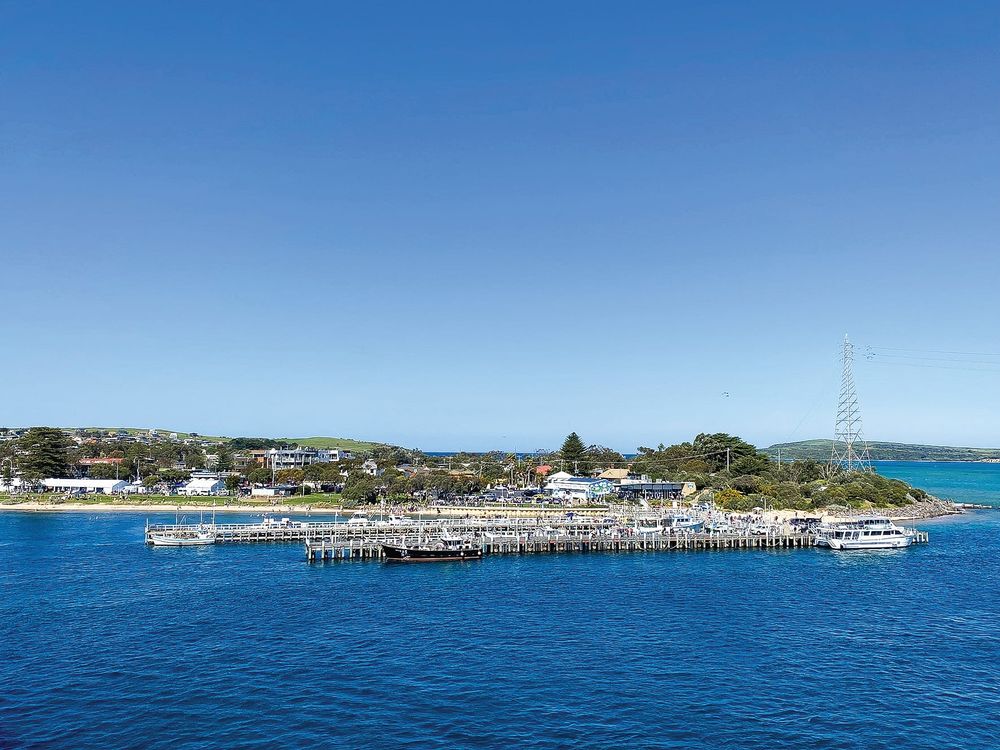 A magnificent weekend! TIDAL Seafood festival success post image