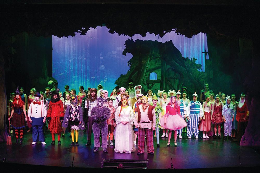 Students dazzle in Shrek The Musical post image