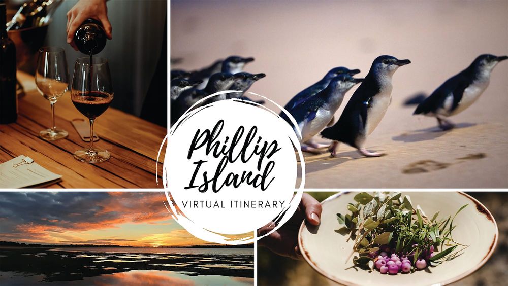 Island hosts virtual weekend post image