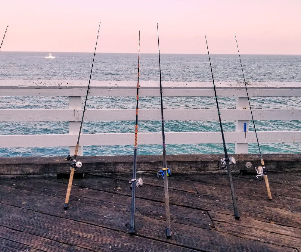 Around the bay with Jim’s Bait and Tackle post image
