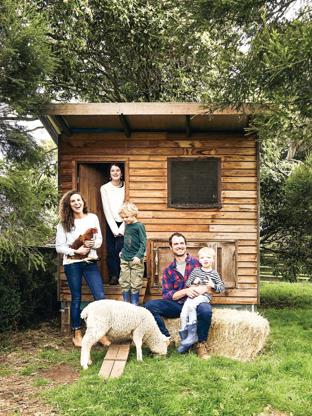 Green light for Ventnor farm attraction post image