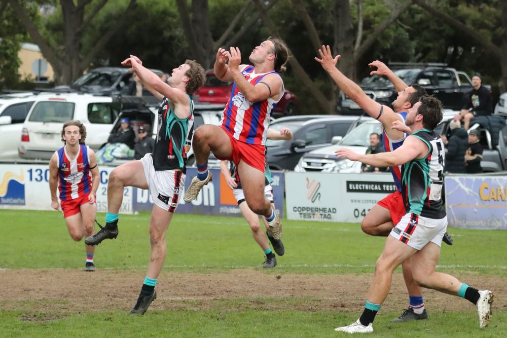 Bulldogs overpower Cobras in kennel clash - Seniors post image
