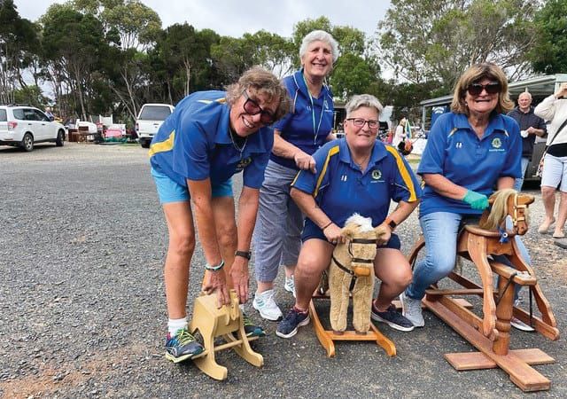 Lions still serving the Island Community post image