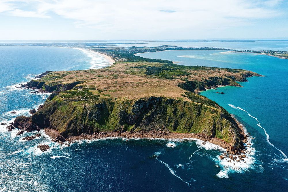 DAL - Environmental threats spotlighted, not necessarily protected post image
