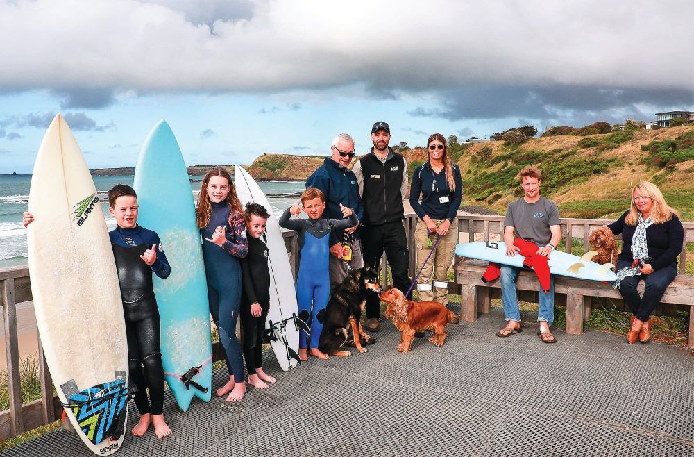 Sharing our beaches this summer post image